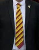 Official Necktie - Partick St. Mary´s Lodge No. 117